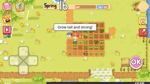 Schermata di gioco di The Farm: Sassy Princess